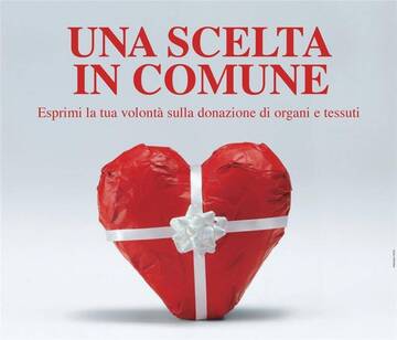Una scelta in Comune