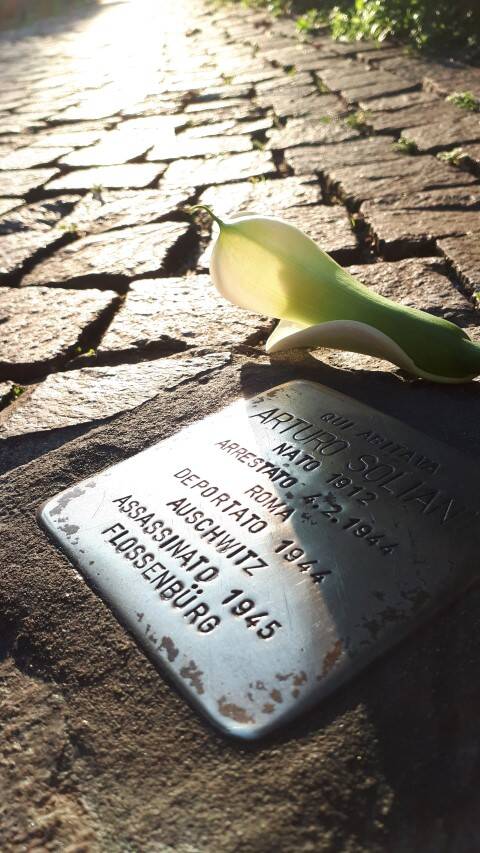 Immagine: 20260126_160052 (Small)