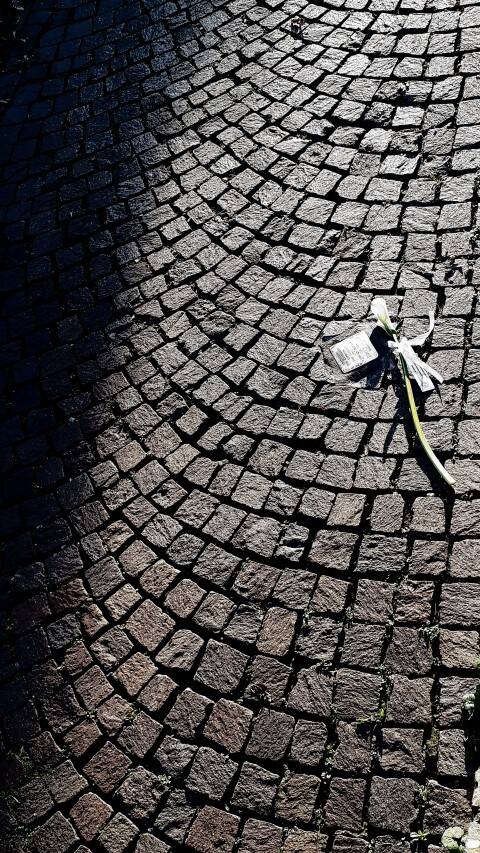 Immagine: 20260126_184755 (Small)