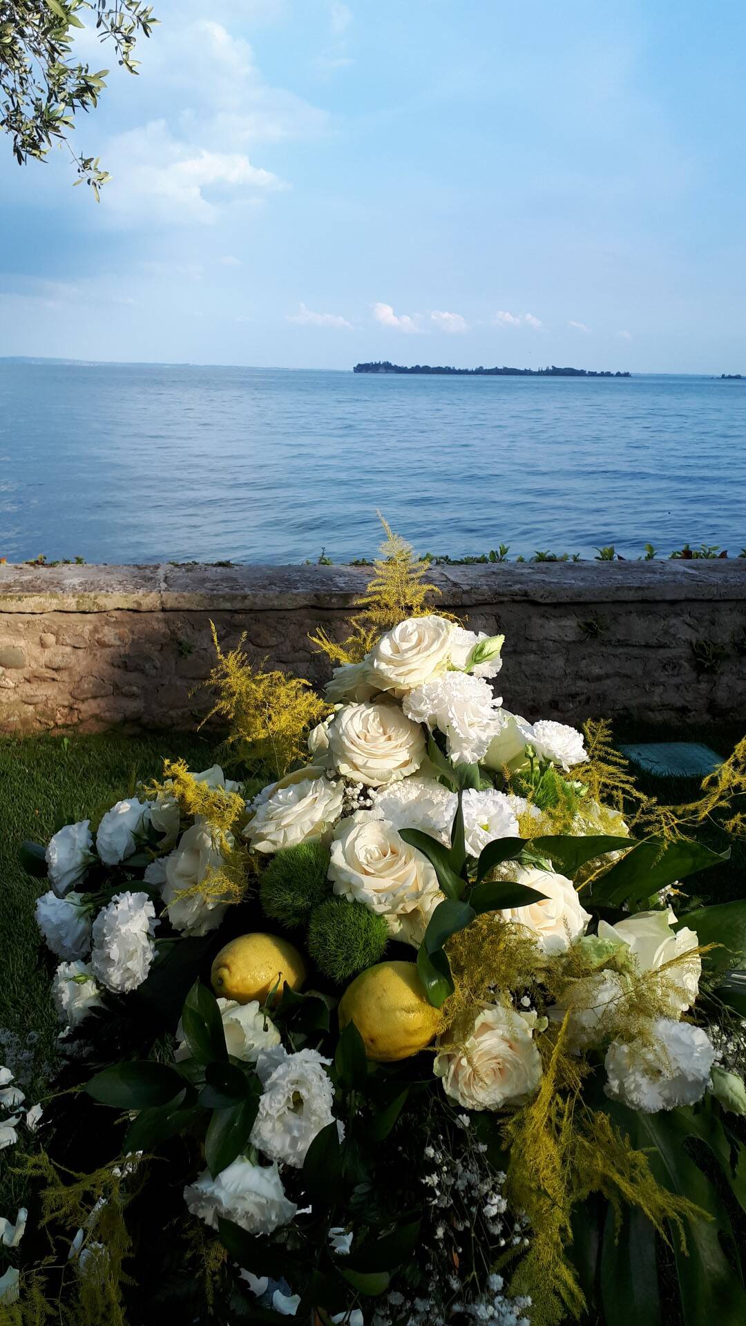 Immagine: fiordaliso2 (Large)