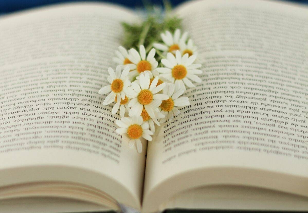Immagine: libri-da-leggere-in-primavera